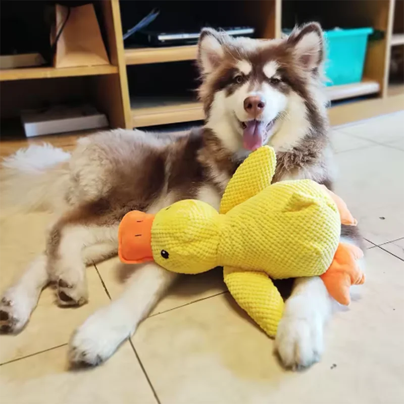 Quietschendes Hundespielzeug Ente – Robustes Kauspielzeug für kleine bis große Hunde, S/M/L