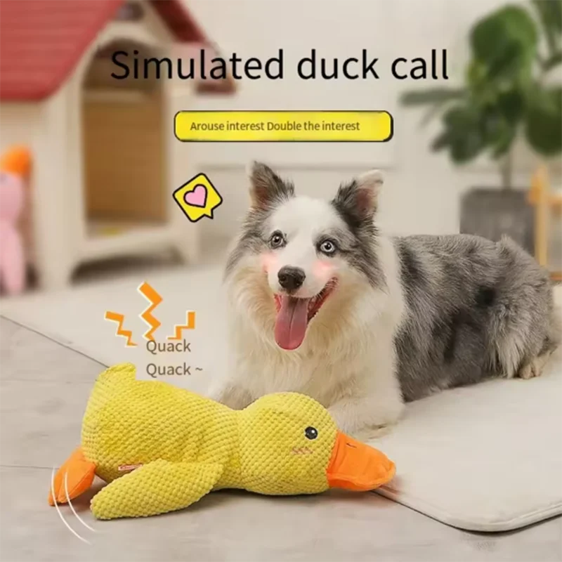 Quietschendes Hundespielzeug Ente – Robustes Kauspielzeug für kleine bis große Hunde, S/M/L